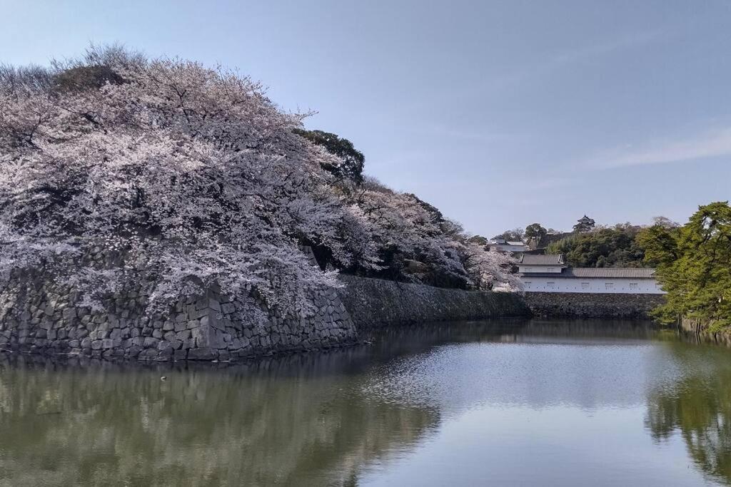 Villa Hikone Castle Ngoại thất bức ảnh